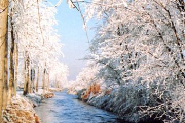 Roggia Busca - Ambientazione Invernale (Ft. A. Rinaldi)