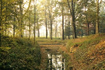 Fontana Scimbla (Ft. A. Rinaldi)